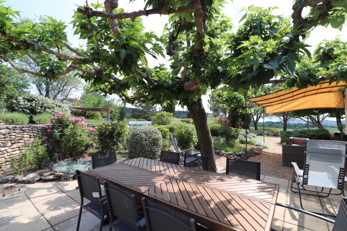 Une des terraces en dessous de cet arbre magnifique